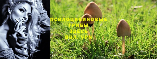 ALPHA PVP Киреевск