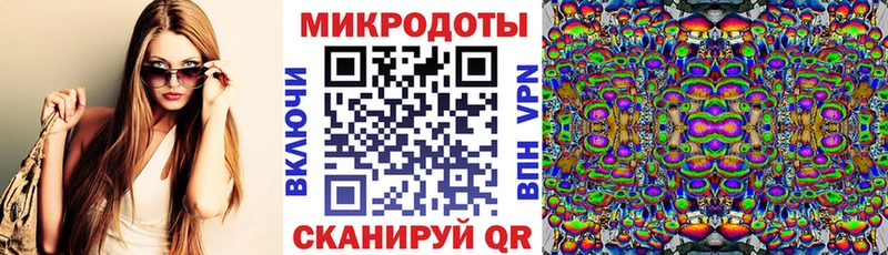 Псилоцибиновые грибы Psilocybe  Волхов 